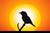 Bird1